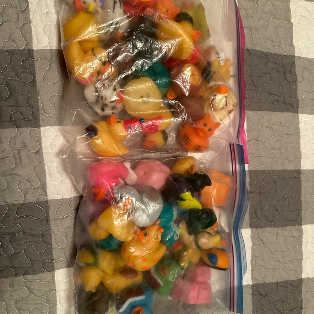 Assorted Rubber Duck Collection